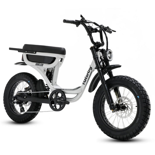 The Harlem eBike V3 Performance eBike