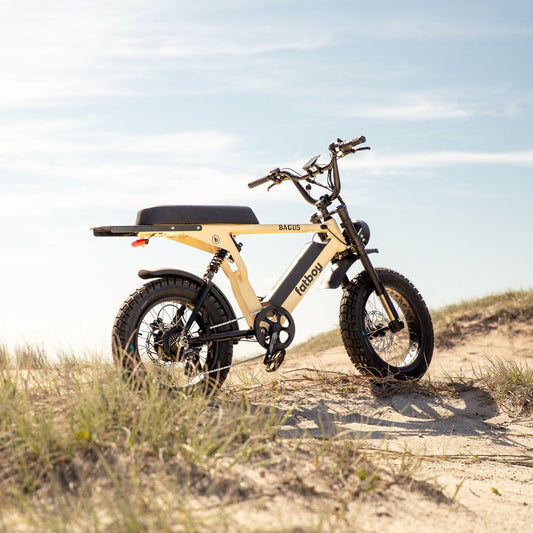 The Bagus eBike