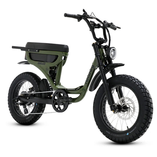 The Harlem eBike V3 Performance eBike