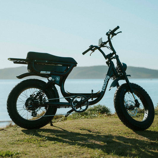 The Harlem eBike